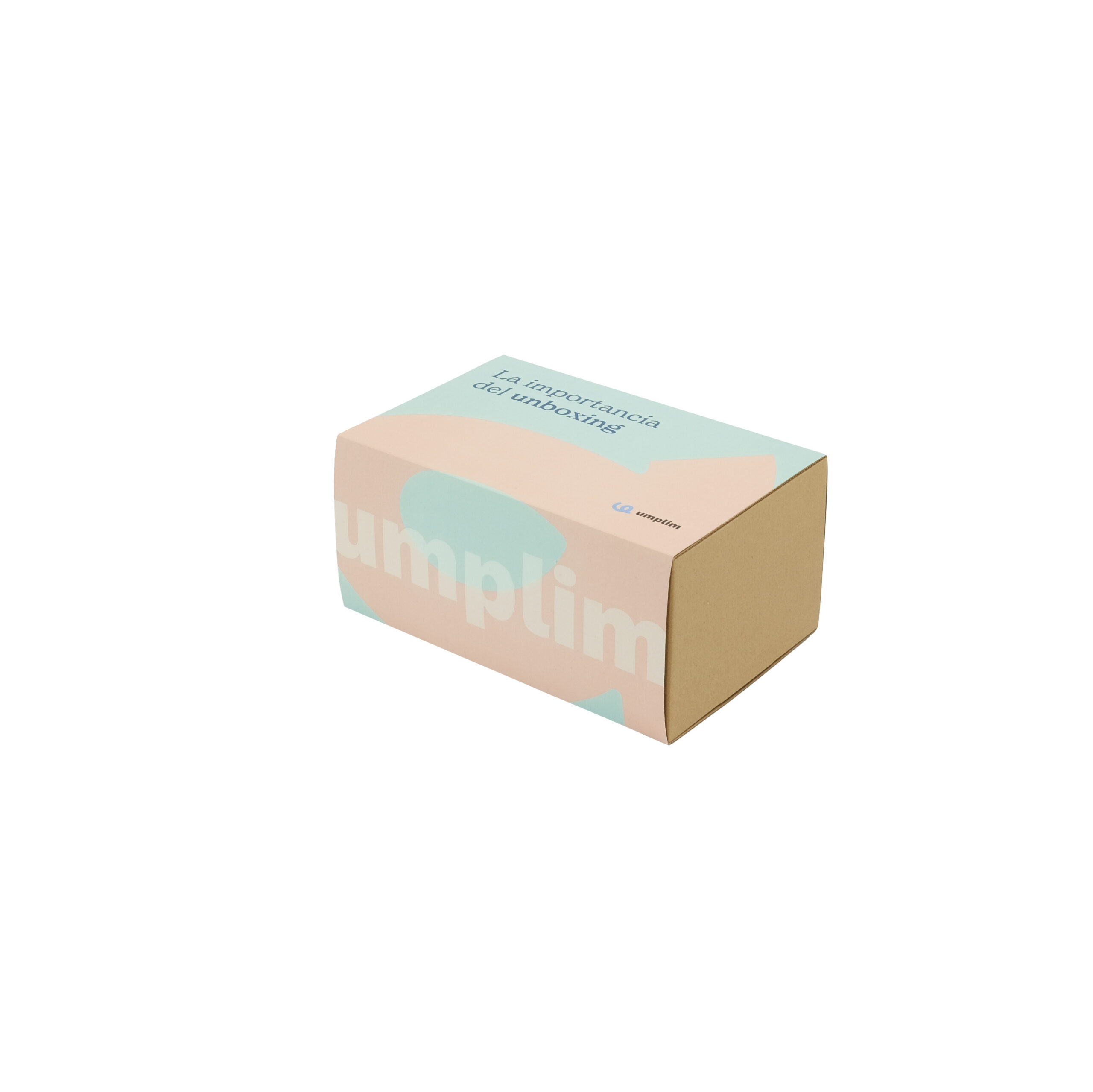 Fajas personalizadas para caja BIG