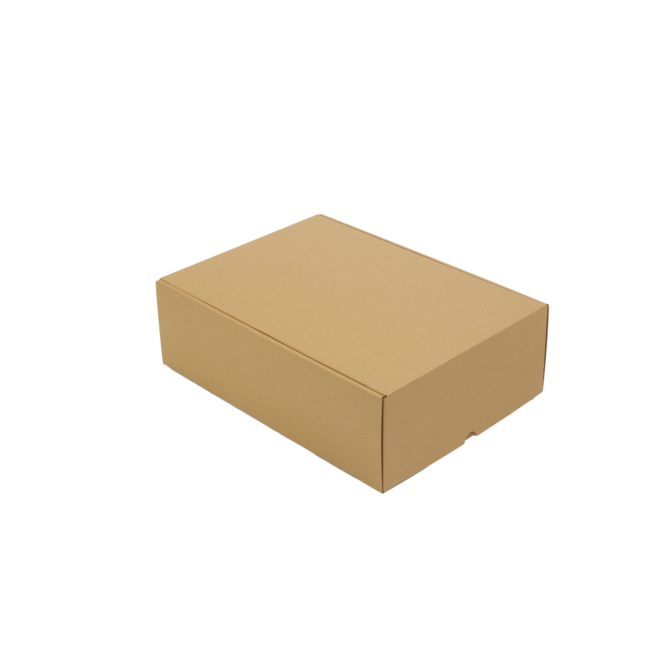 CAJA DE CARTÓN NARROW TWO (37 x 27,5 x 11,5 cm)